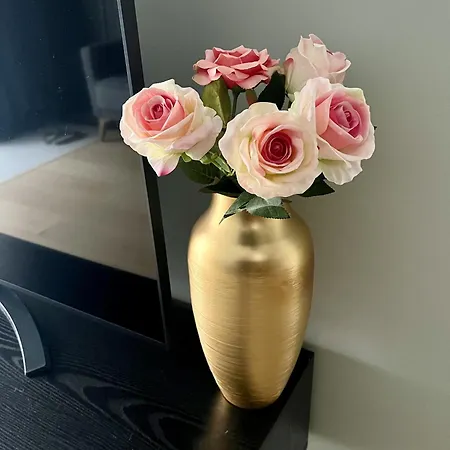 Apartamento Saue Haapsalu