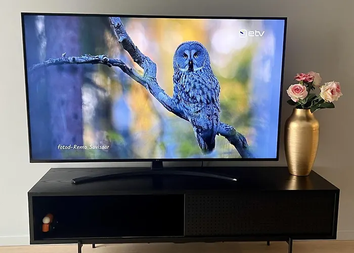 Saue Apartamento Haapsalu